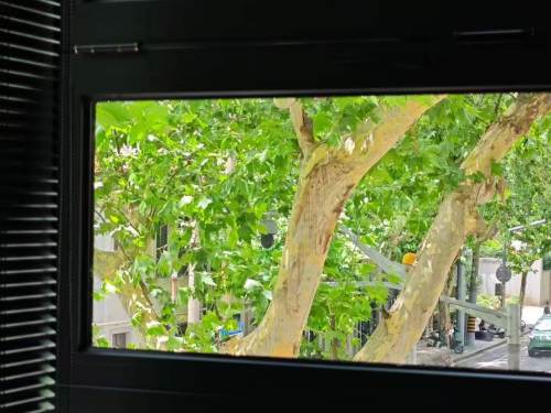 Housing image — Balcony