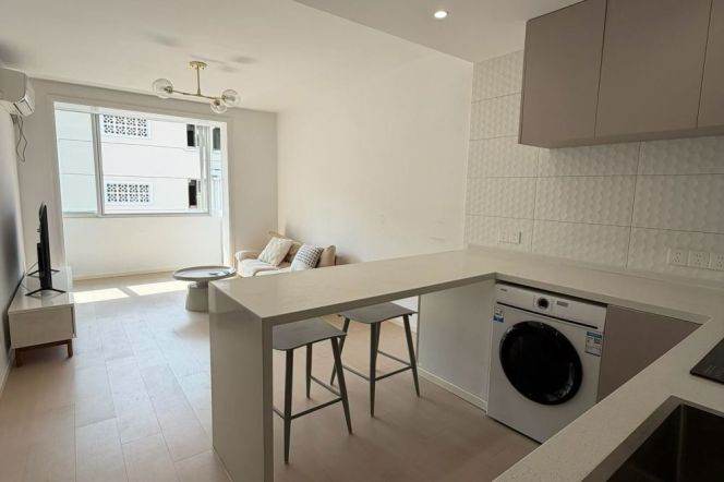1BR Apartment in Old Xuhui (L1/L7/L9)