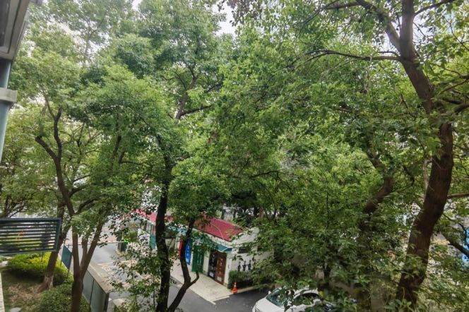 1BR Apartment in Xujiahui (L3/L4/L9)