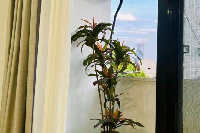 1BR Apartment near West Yan'An Rd Metro (L3/L4)
