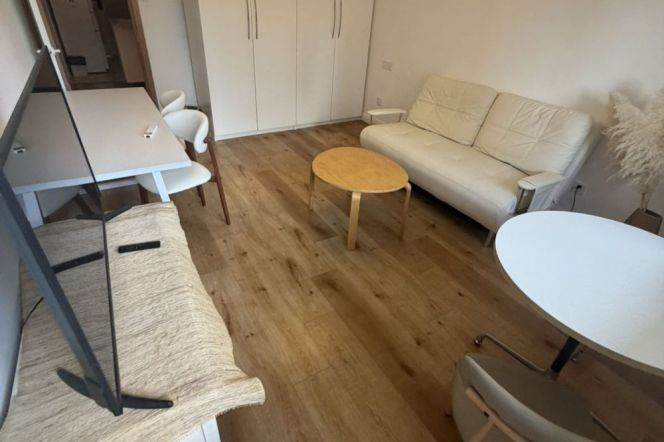 1BR Apartment in Old Xuhui (L1/L7/L9)