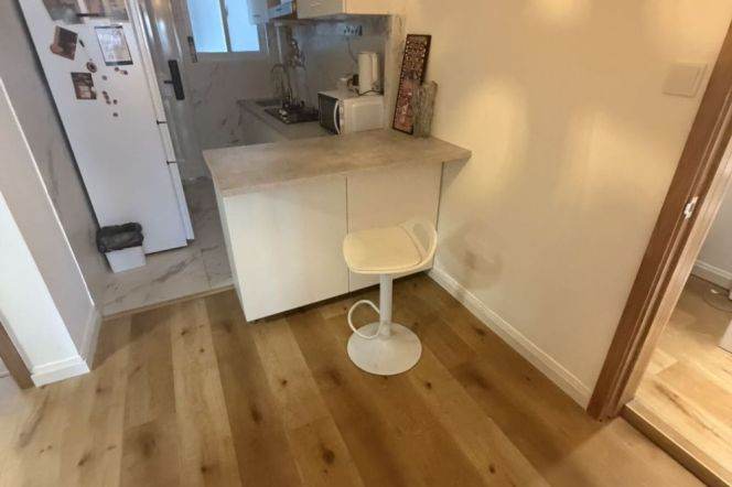 1BR Apartment in Old Xuhui (L1/L7/L9)