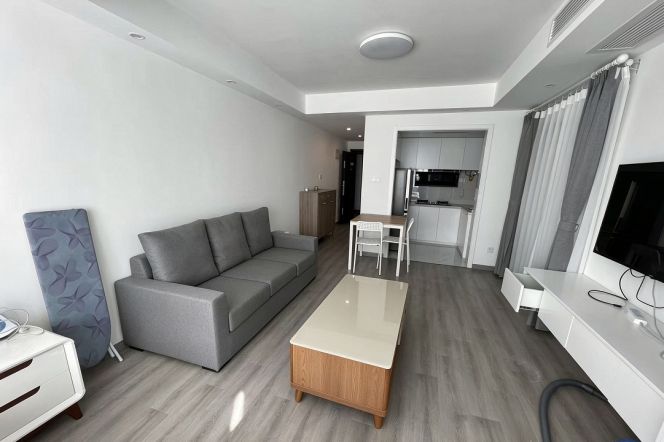 Short-Term 1BR Apartment in Tianshan (L2)