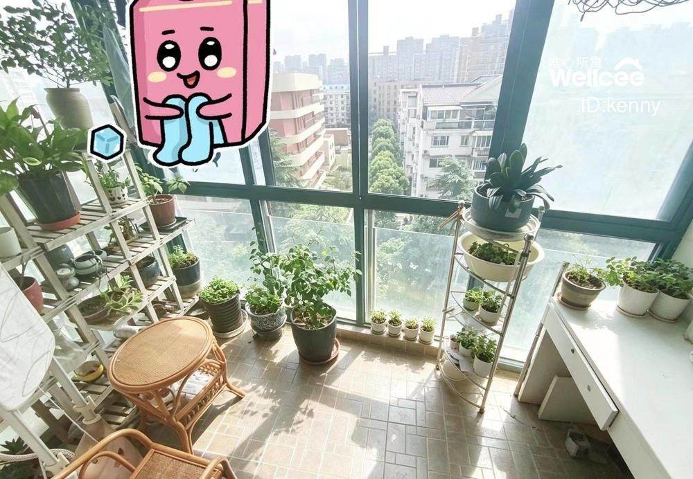 Housing image — Terrace