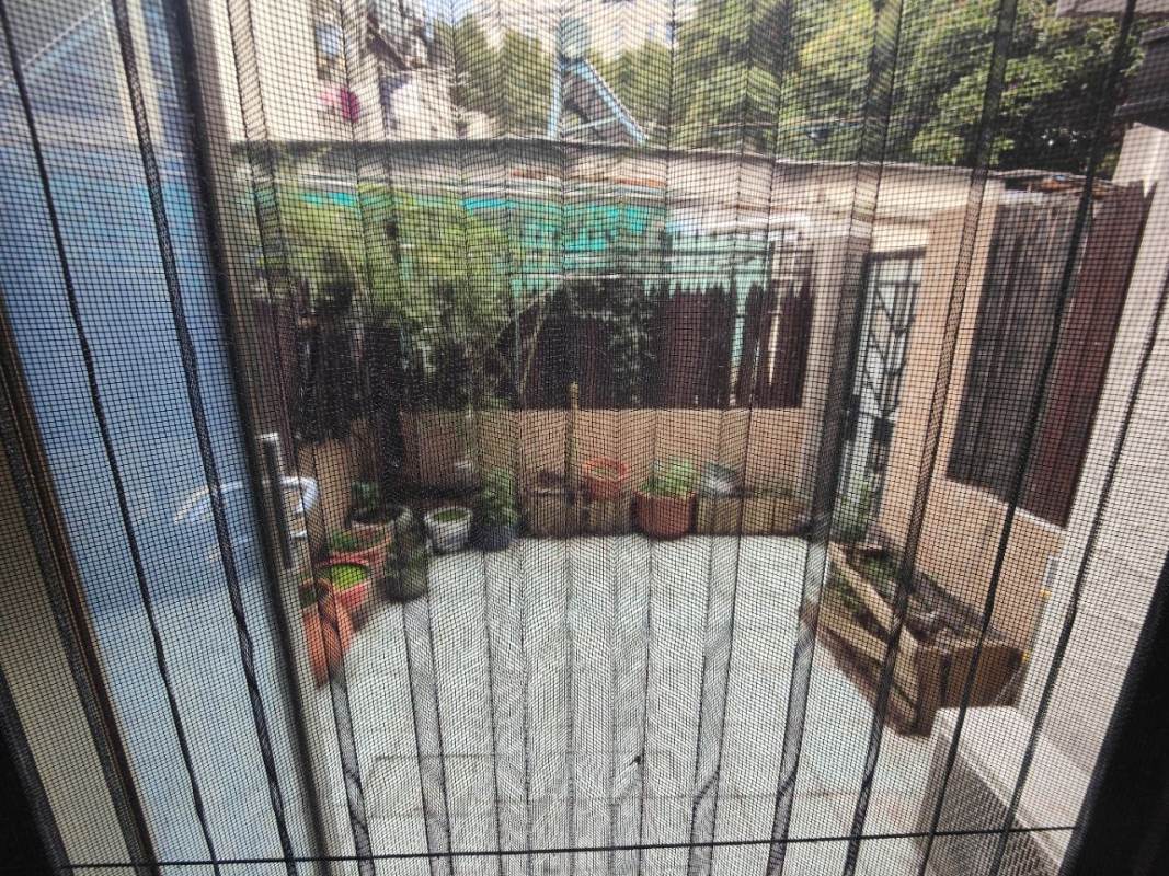 Housing image — Garden
