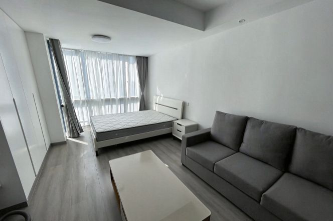 Short-Term 1BR Apartment in Tianshan (L2)