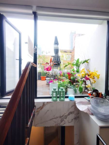 Housing image — Terrace