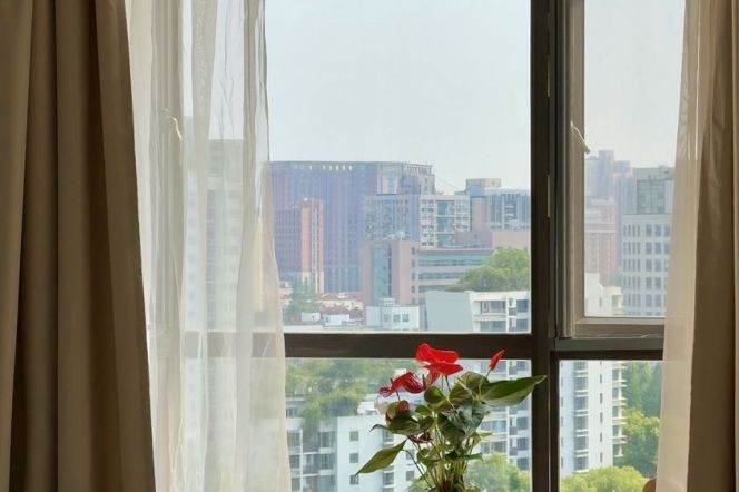 Short-Term 1BR Apartment in Old Xuhui (L9/L12)