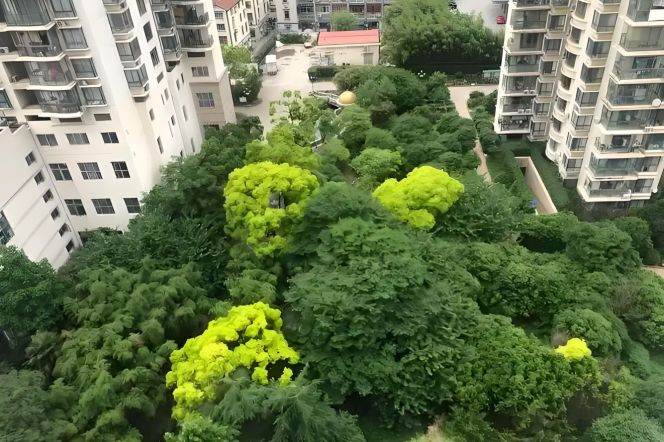 High-Floor Spacious 3BR Apartment in Laoximen (L8/L10)