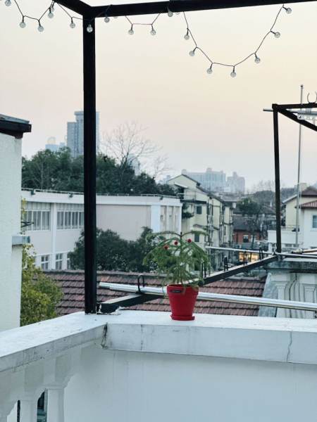 Housing image — Terrace
