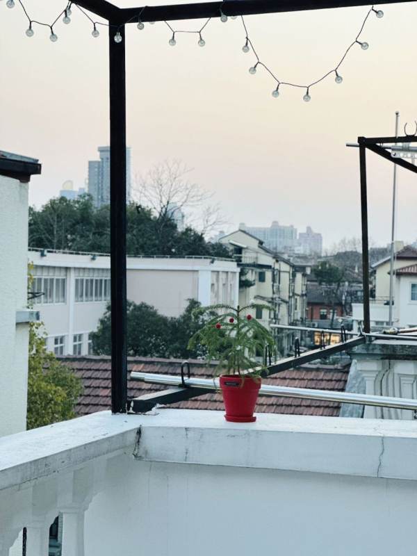 Housing image — Terrace