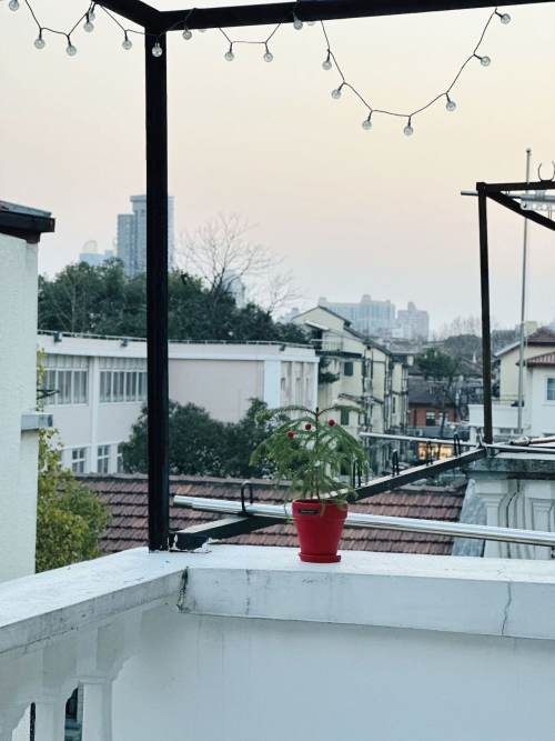 Housing image — Terrace
