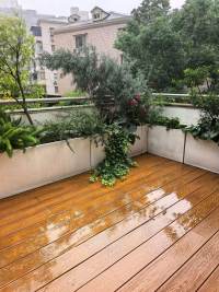 Housing image — Terrace