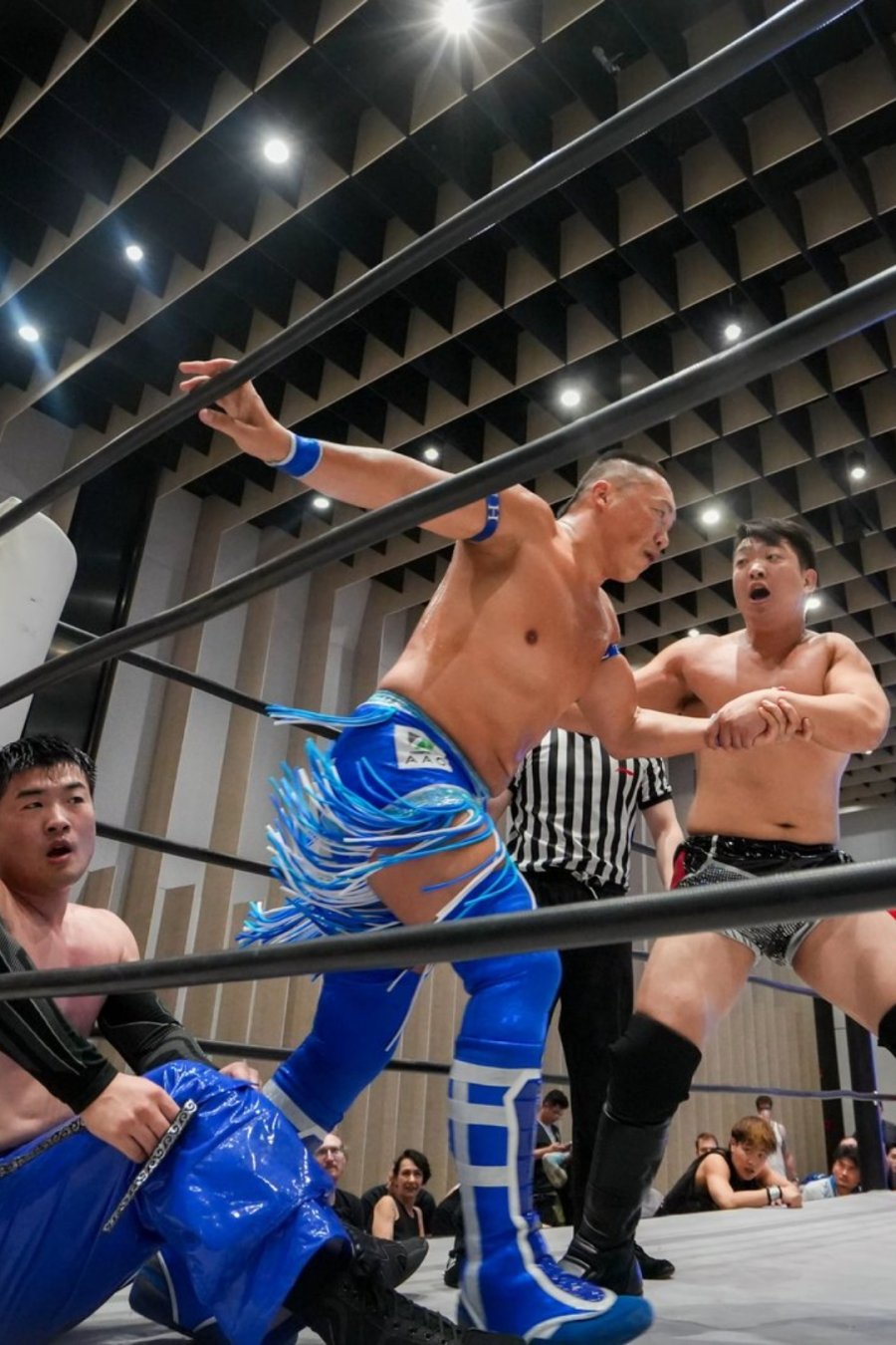 You Think You Don’t Like Wrestling. We Beg to Differ.