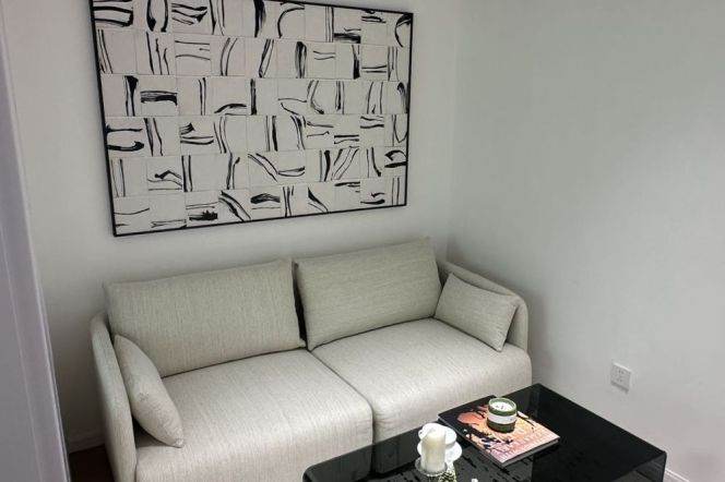 1BR Apartment in Xujiahui (L1/L9/L11)