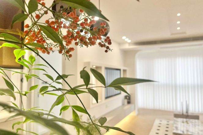 Spacious 2BR Apartment near Hong Shou Fang (L7/L13)