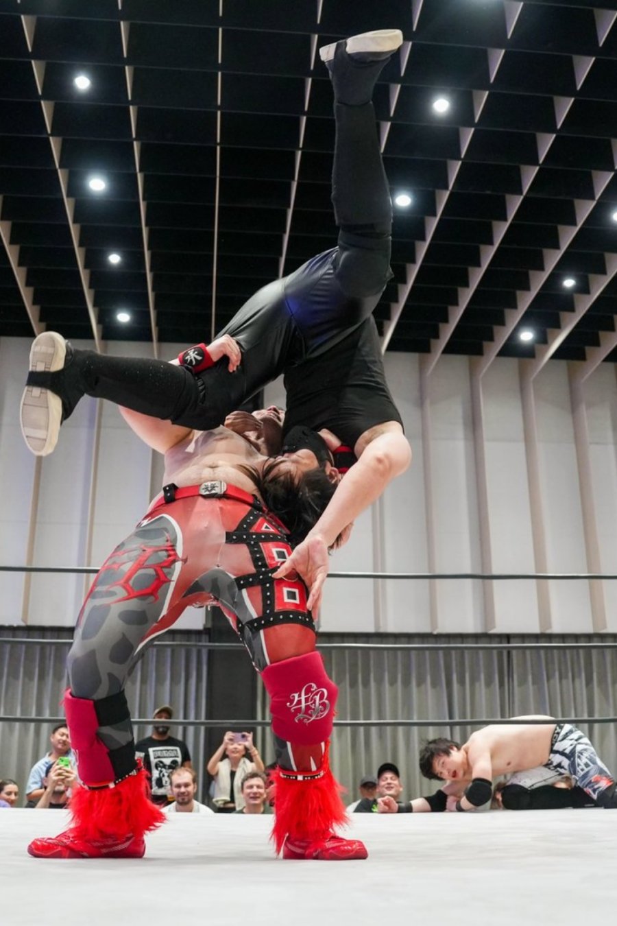 You Think You Don’t Like Wrestling. We Beg to Differ.
