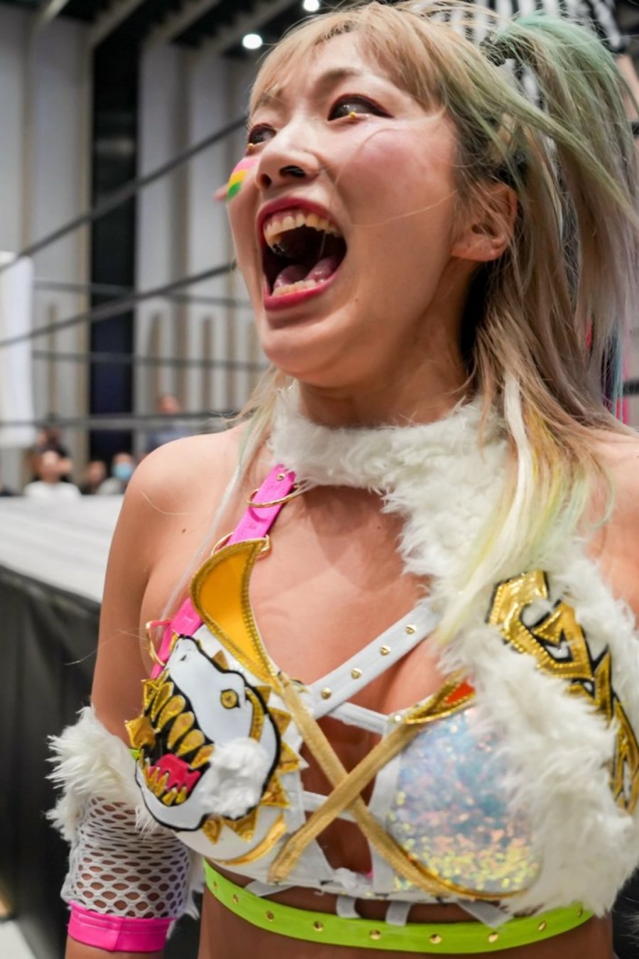 You Think You Don’t Like Wrestling. We Beg to Differ.