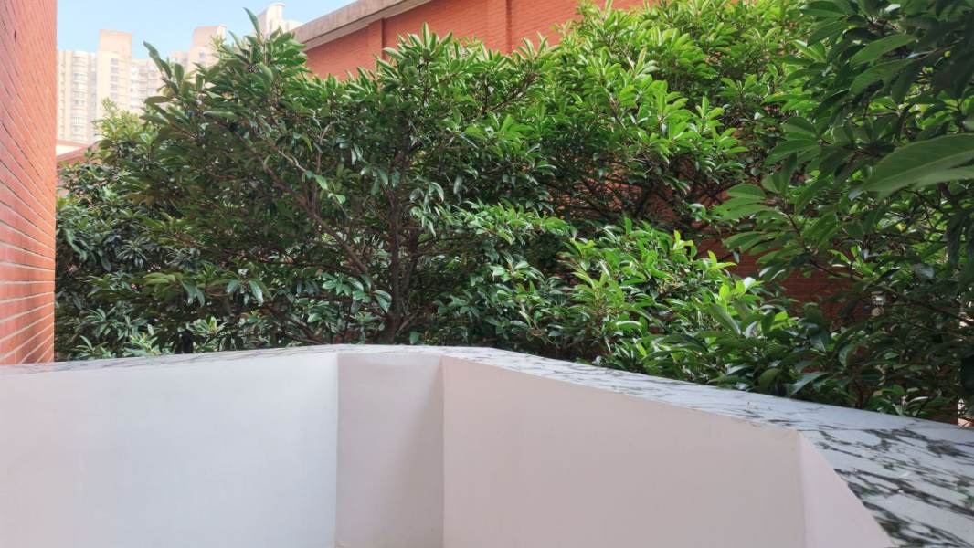 Housing image — Terrace