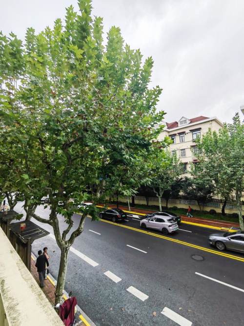 Housing image — View