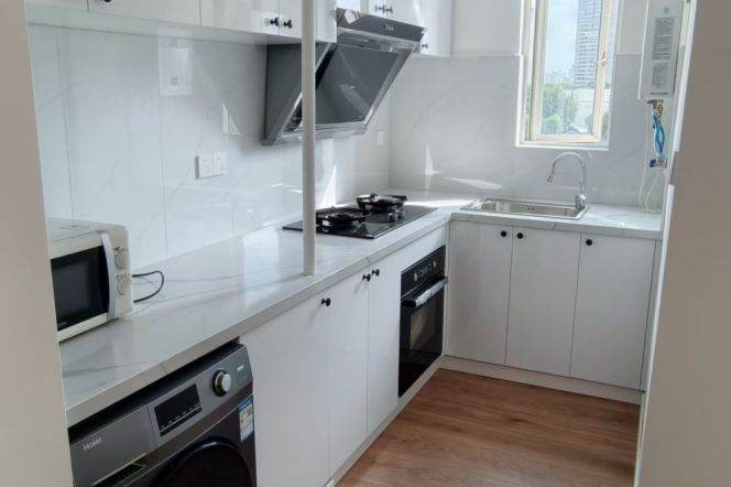 Spacious 1BR Apartment in Xujiahui (L1/L9/L11)