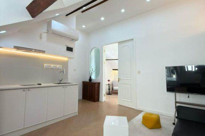 Spacious 1BR Heritage Apartment near Middle Huaihai Rd Metro with Terrace (L13)