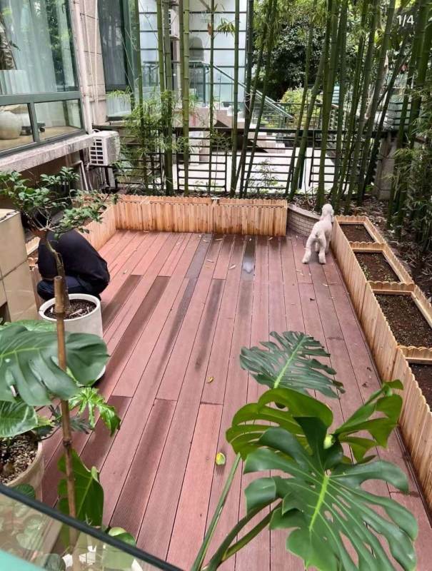 Housing image — Garden