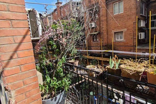 1BR Lane House near IAPM (L1/L10/L12)