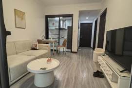 1BR Apartment in Hongqiao CBD