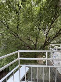 Housing image — Balcony